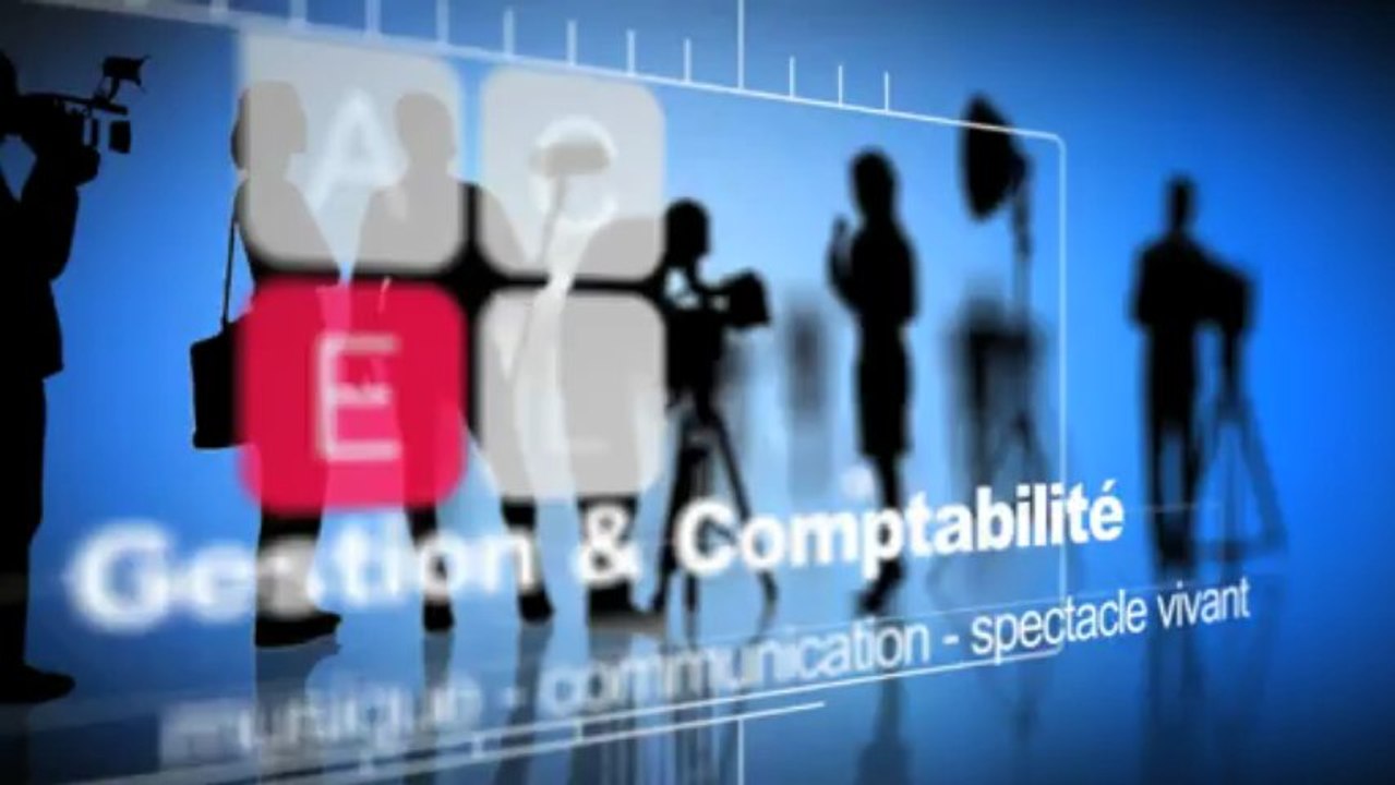Expert Comptable Culture