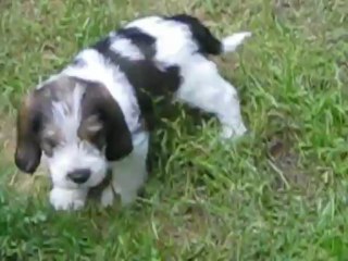 I DANS LE JARDIN 1ER JUIN2013