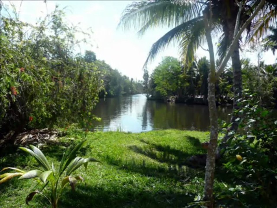 TRESORS de CUBA