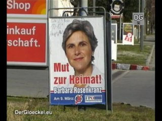 FPÖ in Niederösterreich vor der Pleite?