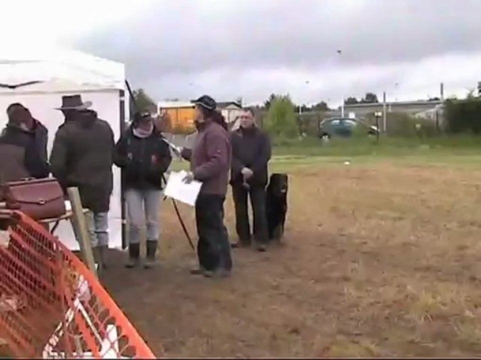 8 éme coupe de France d’obéissance à Gien les 25 et 26 Mai 2013 Faros fini 3éme en classe 1