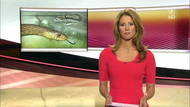 Mareile Höppner 29.05.2013