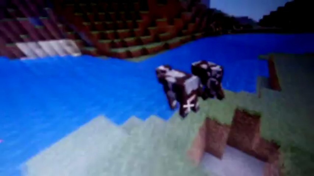 survie minecraft
