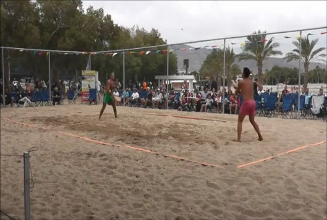 valetudo nhreas dyada 1