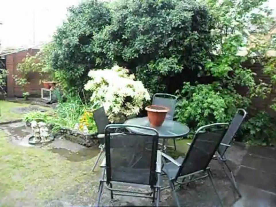 WET GARDEN