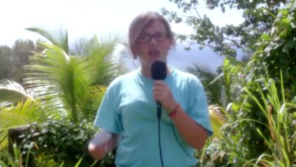 Tortues marines  Protégeons les !