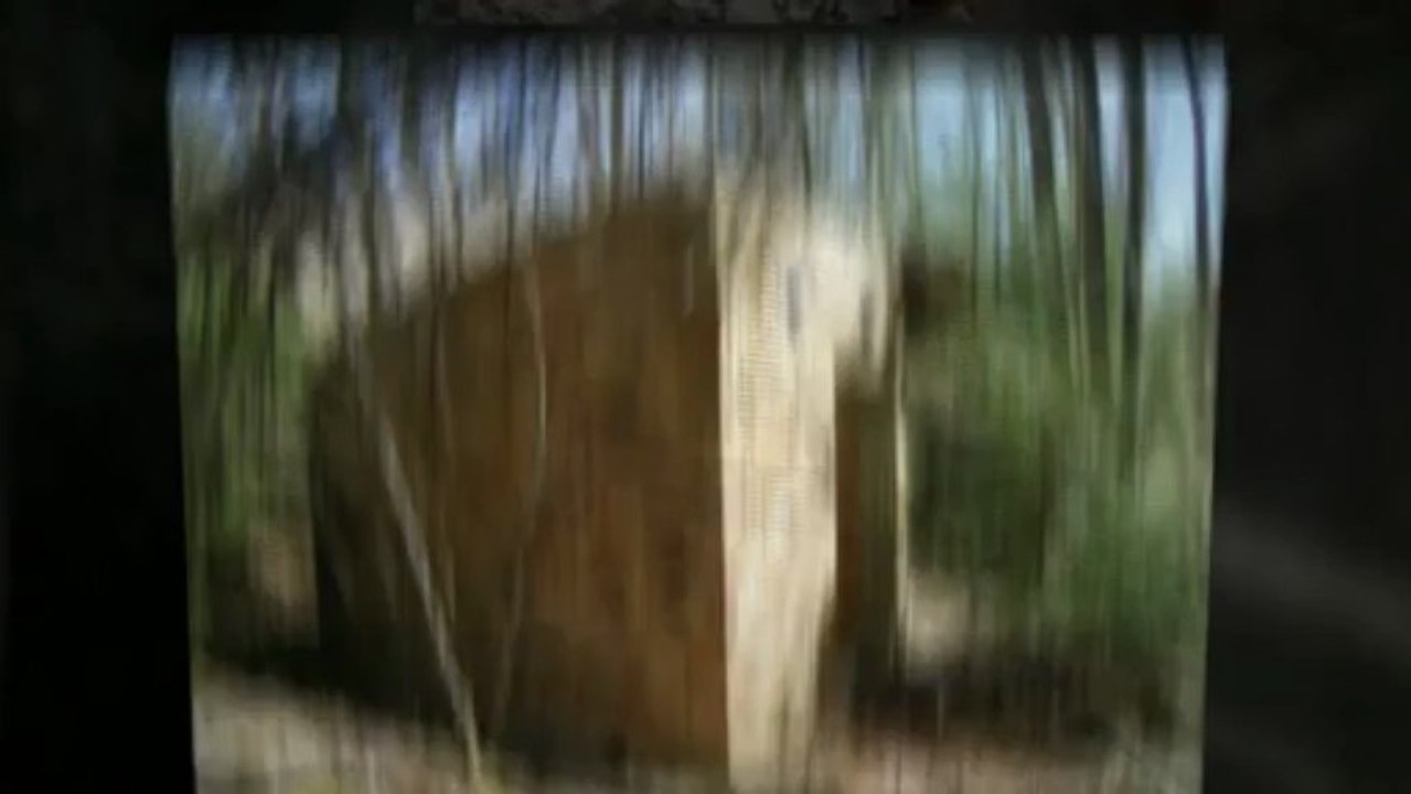 Peale Video