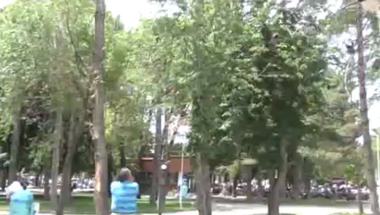 Kargaların mücadelesi