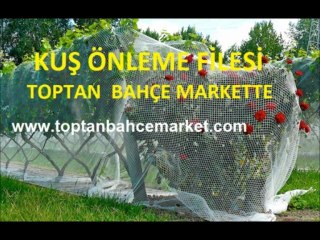 Download Video: kuş filesi ankara,kuş filesi istanbul,kuş filesi fiyatı,kuş filesi fiyatları,kuş ağı,kuş ağı fiyatı,kuş ağı fiyatları