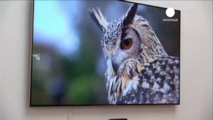 Venice Art Biennial opens doors for 2013