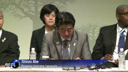 Le Japon offre 750 millions d'euros pour stabiliser le Sahel