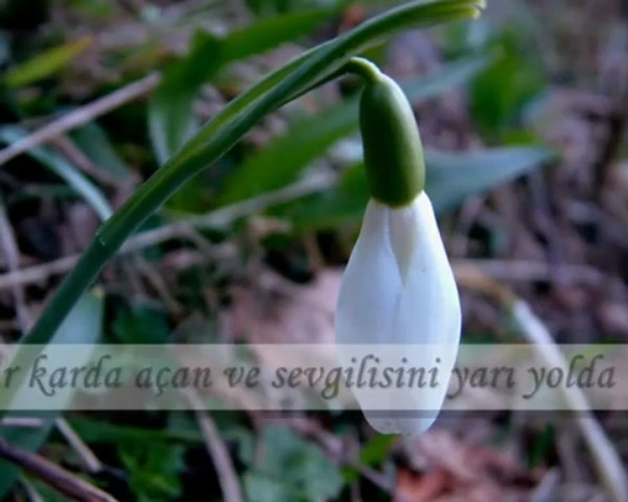 sesli2013.com cengiz kurtoğlu ela gözlerin