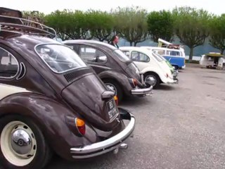 Aix-les-bains 2 juin coccinelle (2)