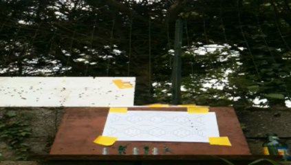 Plinking precis 30m diana panther 31 pro 10 joules RiP iphon3gs...