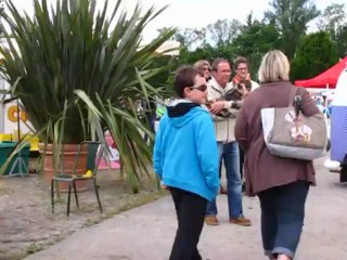 Aix-les-bains 2 juin coccinelle (1)