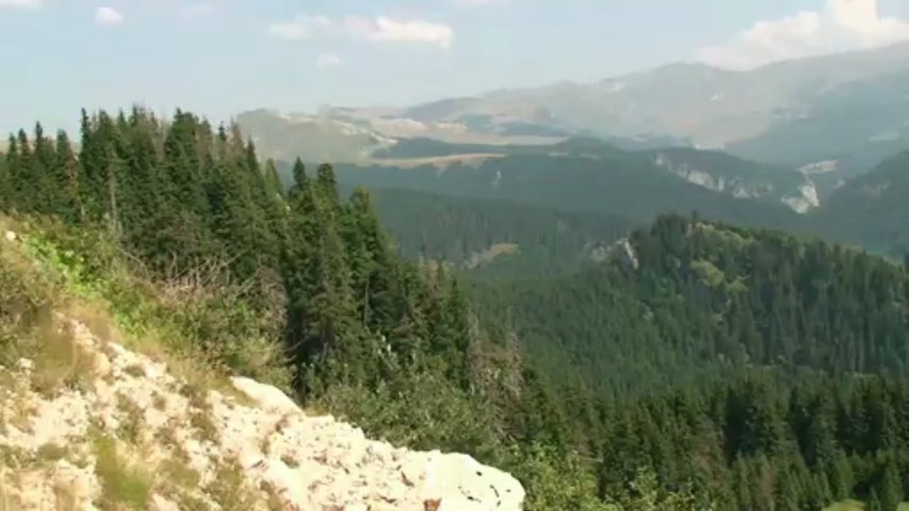 Muntii Bucegi