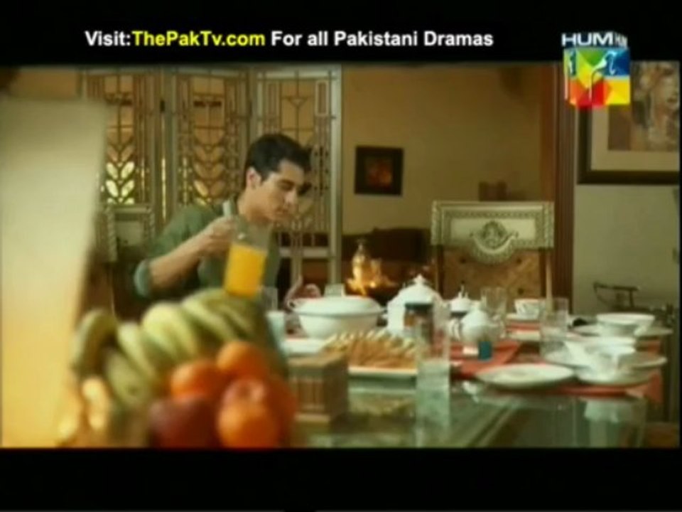 Humnasheen Episode 13 By HUM TV