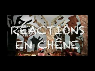 07 Réactions en chênes