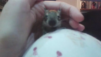 Hablando de cosas de chicas