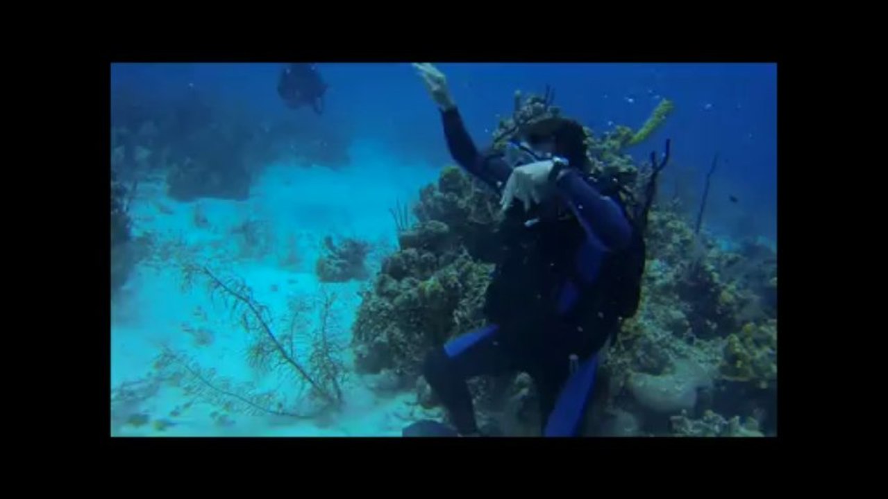Harlem Shake Turneffe Reef Style 2013 Belize