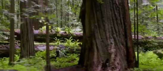 After Earth - Bande annonce