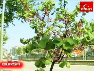 BURSA NİLÜFER - Orijinal video kayıt - by ERKO