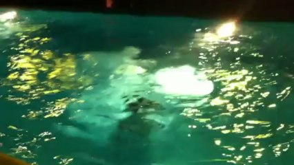 La grande Bellezza (soirée après la montée des marches) - Cannes 2013