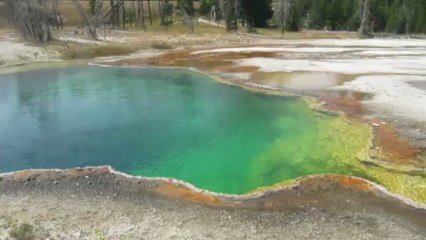Pool yellowstone aout 2012