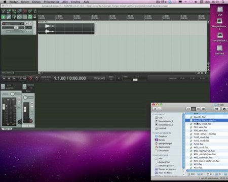 [MUS2325] - Paramètres Reaper 1 : Fichiers Reapeaks - Audio Offline