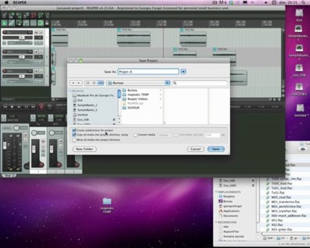 [MUS2325] - Paramètres Reaper 2 : Structure de projet - importation des fichiers sonores