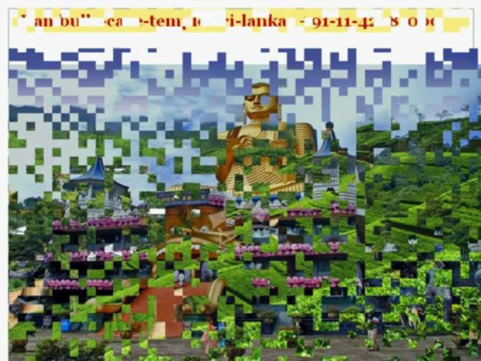 Holidays In Sri lanka | Travel To Sri Lanka from Joy Travels