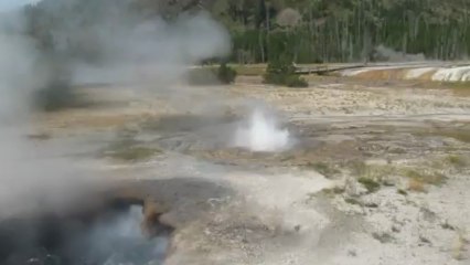 Pool  4 yellowstone aout 2012