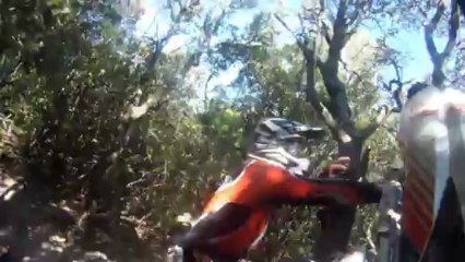 enduro alousdé sergio qui monte au arbre