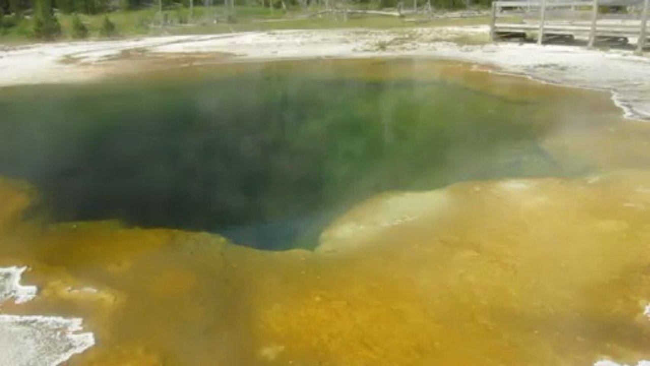 Pool  5 yellowstone aout 2012