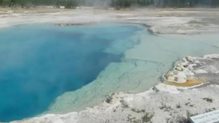 Pool  8 yellowstone aout 2012