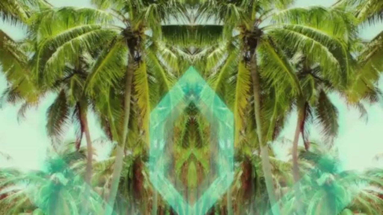 Pink Is Punk - Koala