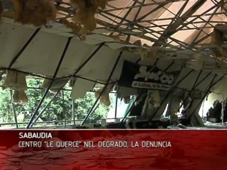 SABAUDIA CENTRO LE QUERCE NEL DEGRADO