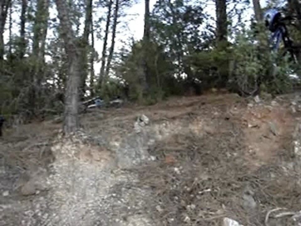 Dan1