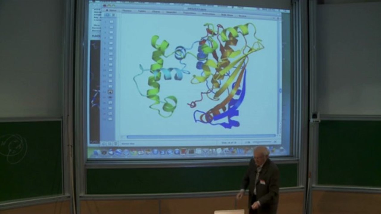 New geometrical and topological features (Alexey Murzin)