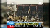 Cina: rogo fa strage in allevamento pollame, 119 operai...