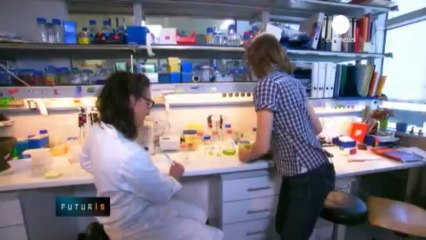 De la mousse pour piéger la pollution atmosphérique