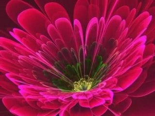 Dans le coeur Daniel Guichard