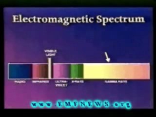 Download Video: Protection Electromagnetic Fields, Cell Phone Radiation Health Risks