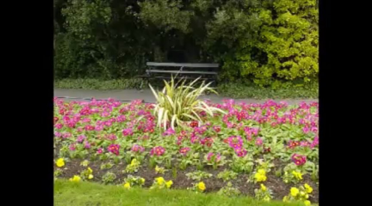 Lfs yol ve çim yaması indir | http://onlinehile.pro