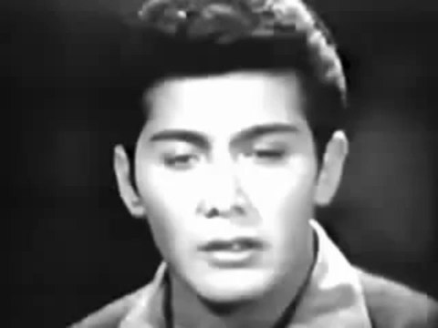 Paul Anka Red Roses for a blue lady