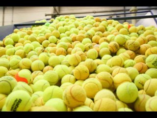 Interview Coordinateur de l'Opération Balle Jaune - Alexandre Friot