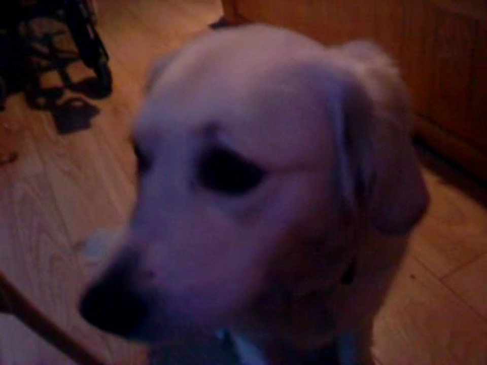 KYLIE mange un sandwich club jambon emmenthal