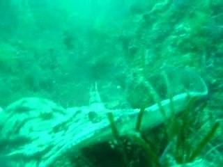 plongée à tossa de mar