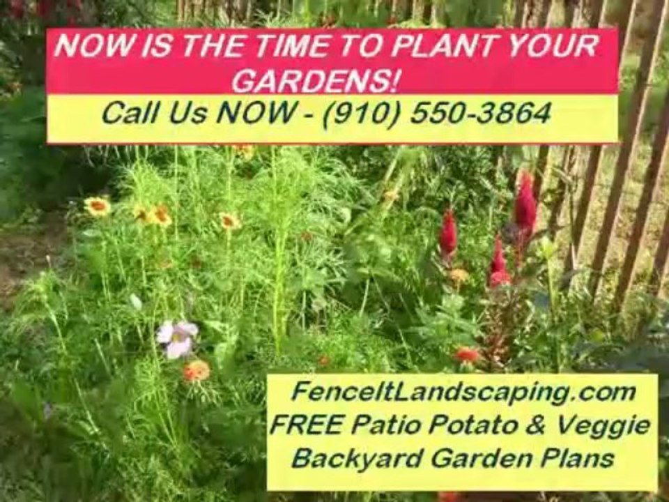 Wilmington Lawn Care|Free Lawn Estimates 910-550-3864