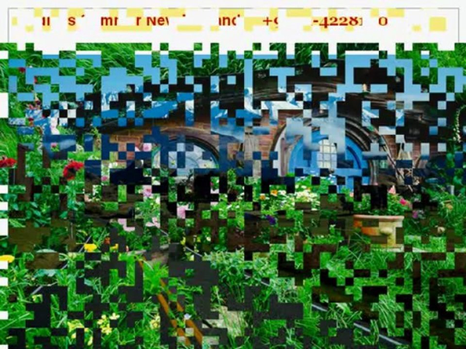 Holidays In New Zealand | Travel To New Zealand | New Zealand Trips